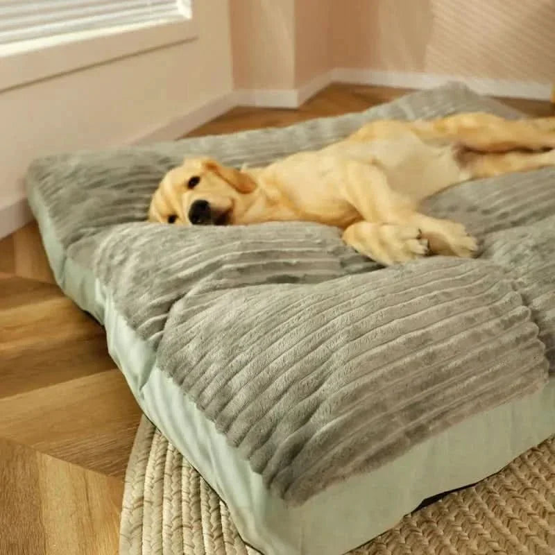 Orthopedic Dog Bed with Memory Foam Support for Joint Relief & Comfort | Medium Large XL Sizes for Senior Dogs | Washable Plush Pet