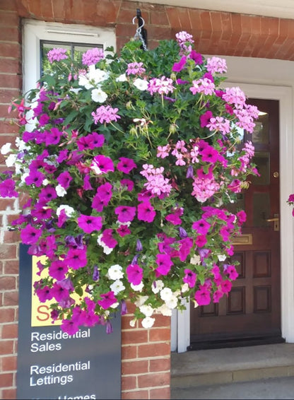 Faux Morning Glory Vine 35 in – 44 Blooms UV-Resistant Artificial Climbing Plant for Fence Porch Indoor Outdoor Décor