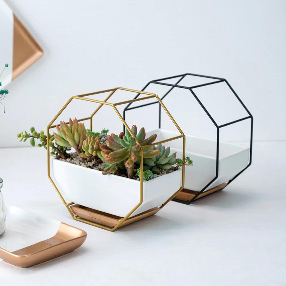 Hexa Frame Wall Planter