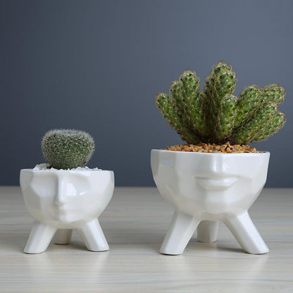 2-Piece White Ceramic Facial Succulent Planters