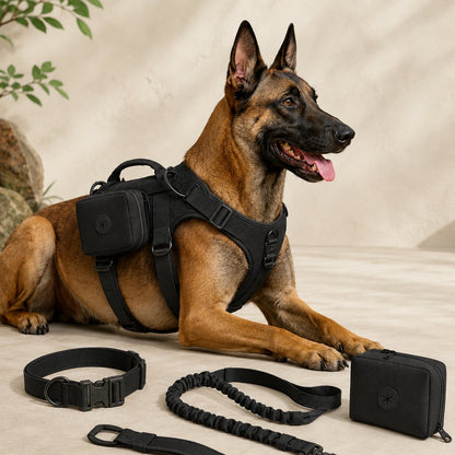 Ortekor 5-Piece Tactical Dog Harness Set for Hiking & Training - Better Control for Strong Dogs