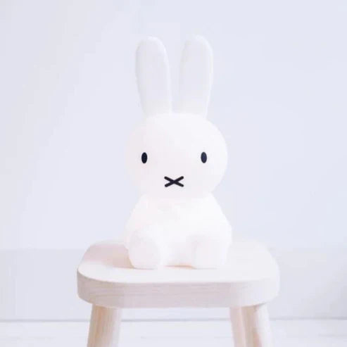 Cute Rabbit Home Decor Figurine
