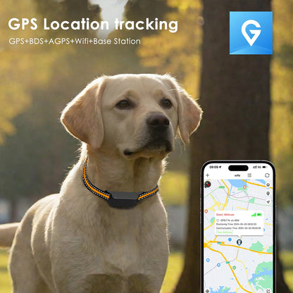 Collar-Mounted GPS Location Monitor for Cats with Geofence Alerts, Historical Route Logging & Multi-Technology Positioning for Indoor &
