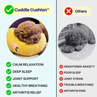Bolstered Pet Bed for Dogs & Cats | Anxiety Relief Sleeping Cushion with Raised Edges | Machine Washable Portable Travel Pillow | Plush