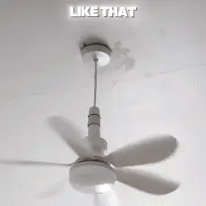 Socket Series | Flush Mount Ceiling Fan with LED Light & Remote Control | Bright Illumination for Enhanced Comfort