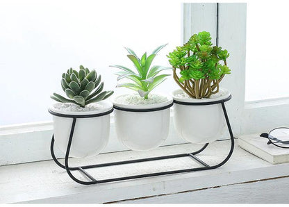 Metal Sleigh Succulent Trio