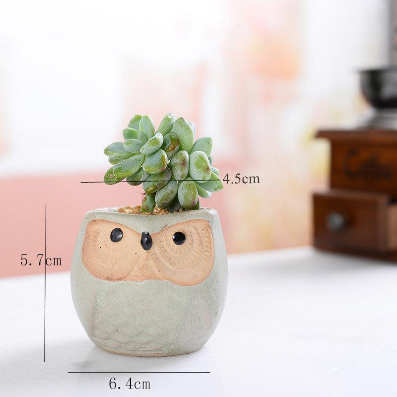 6-Piece Small Owl Ceramic Succulent Planter Pots
