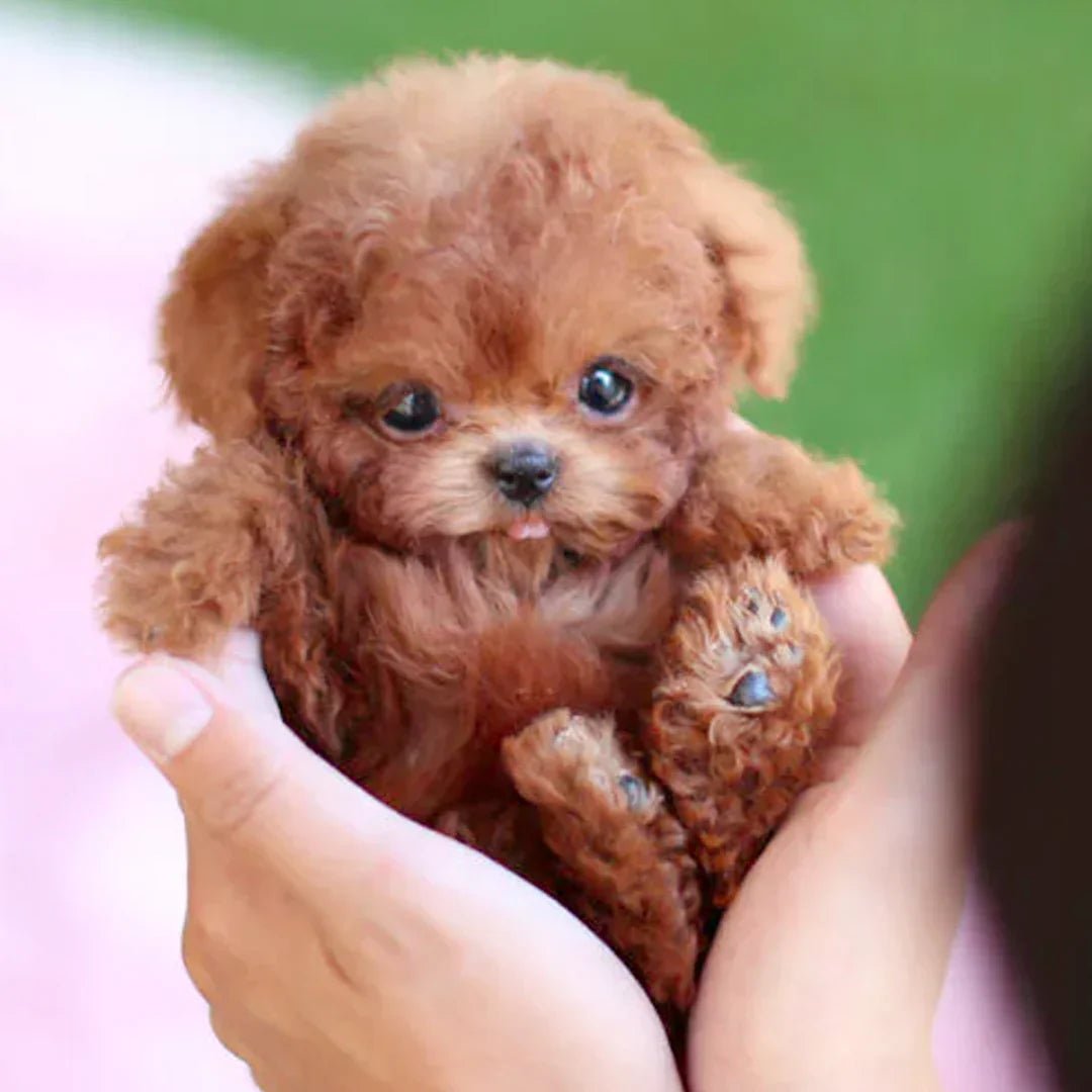 Touch-Activated Robotic Stuffed Animal Puppy Toy Responds to Petting Moves Head and Tail Battery Powered Companion for Kids Elderly Dementia