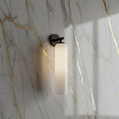 Contemporary Glass Globe Wall Sconce with LED Bulb for Bedroom Dining Room Bathroom Foyer Kitchen Study