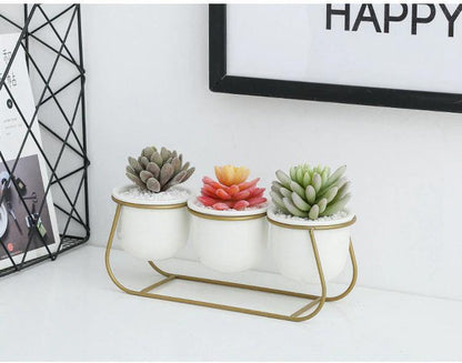 Metal Sleigh Succulent Trio
