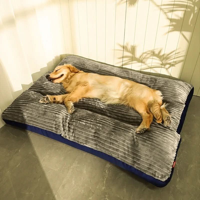 Orthopedic Dog Bed with Plush Cover - Memory Foam Support for Joint Relief & Comfort