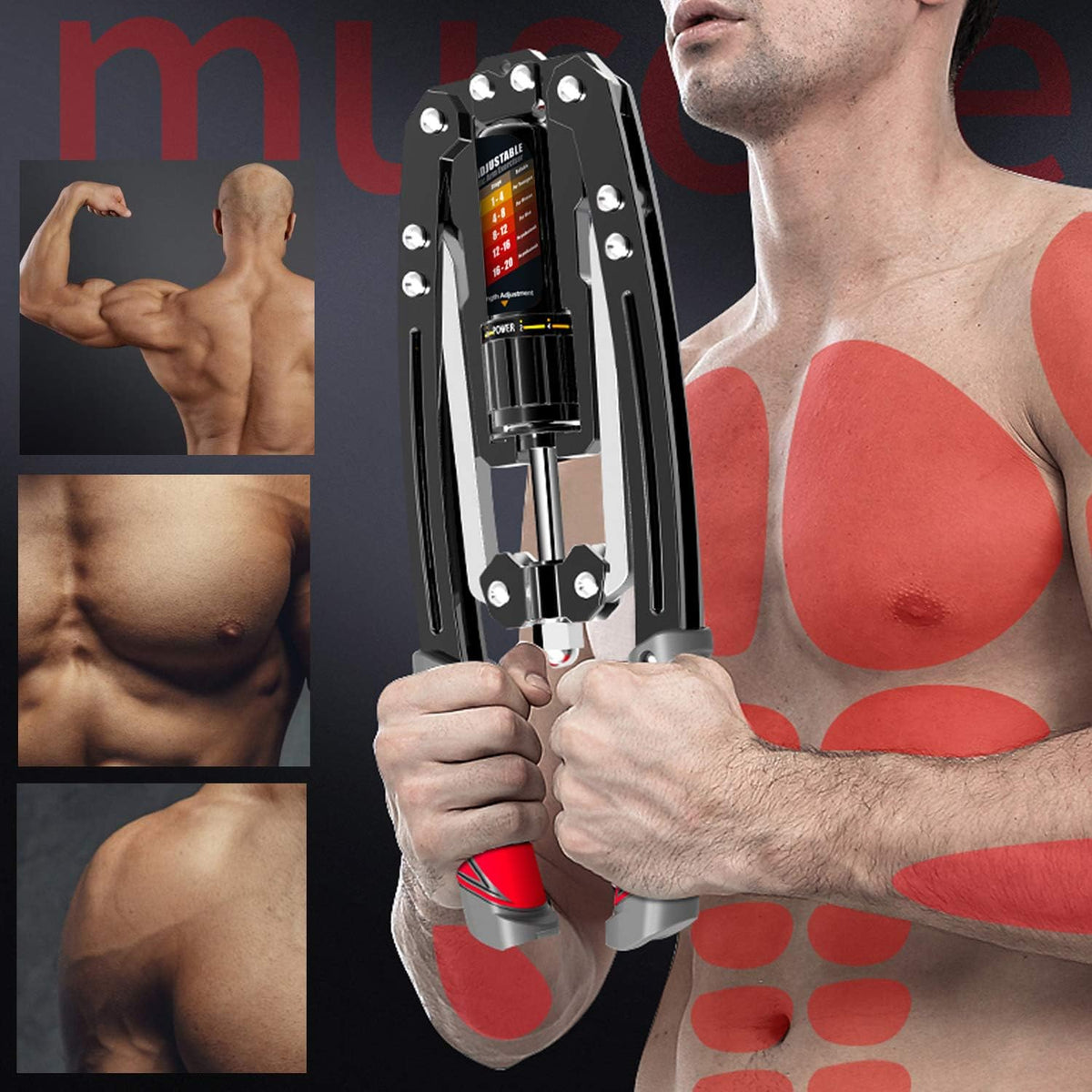 Adjustable Hydraulic Arm Trainer | 10-200 kg Resistance for Effective Upper Body Workouts