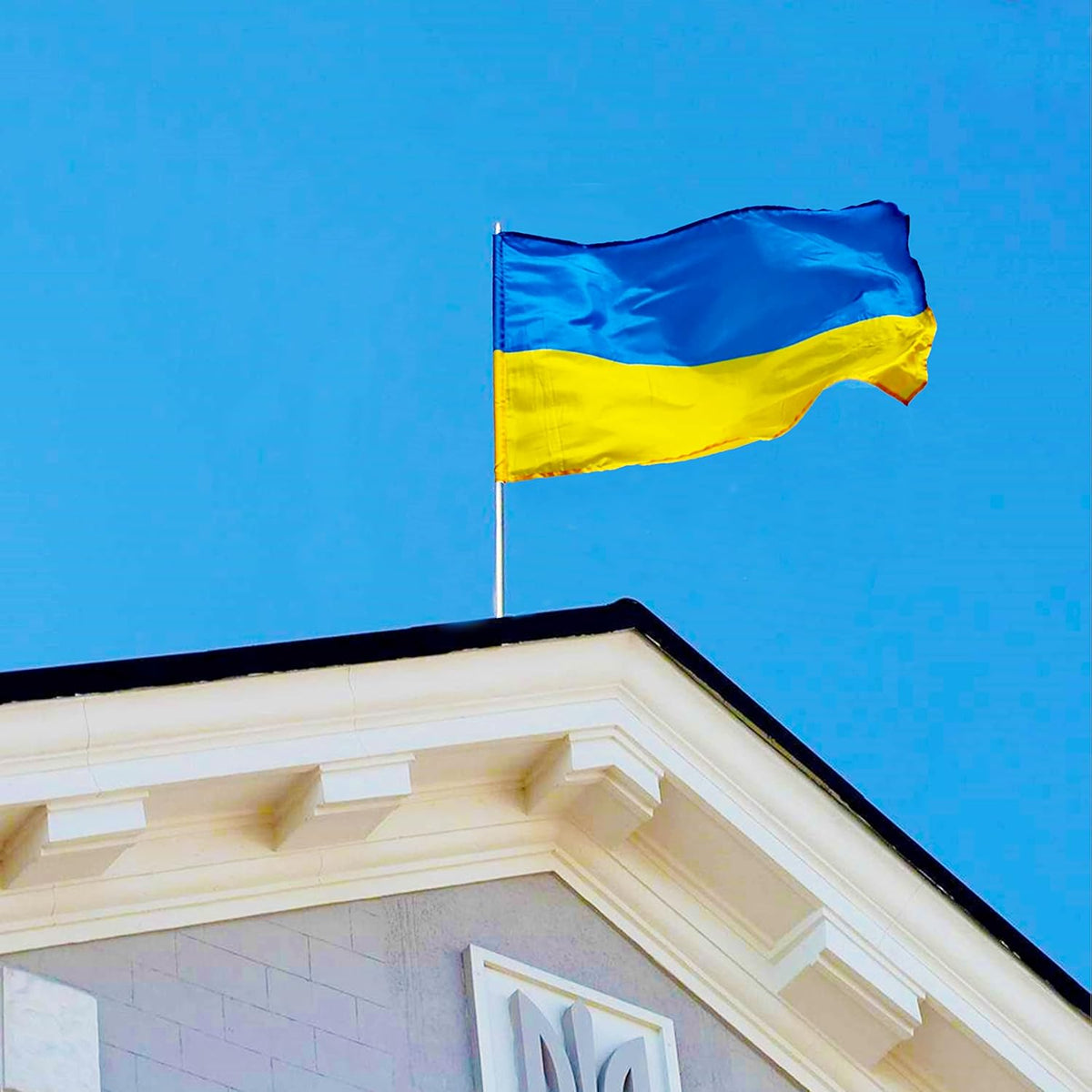 Blue & Yellow National Banner with Brass Grommets – Durable Polyester Hanging Flag for Indoor & Outdoor Display, 24×35 in to 59×94 in