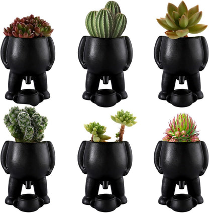 Tinkle Ted™ - The Naughty Planter
