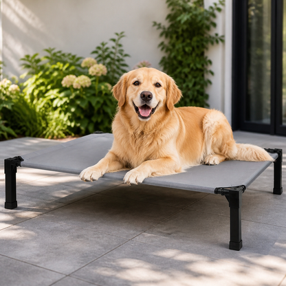 Ortekor Elevated Washable Breathable Mesh Dog Bed