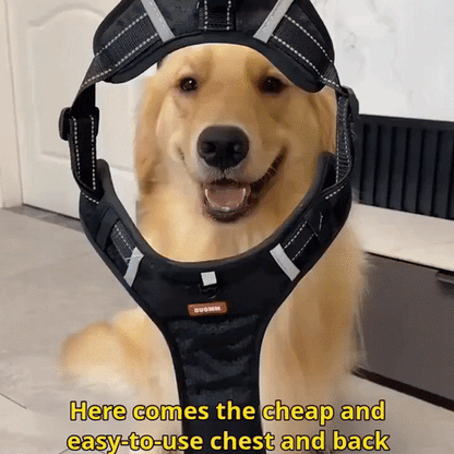 360° Reflective No-Pull Padded Dog Vest