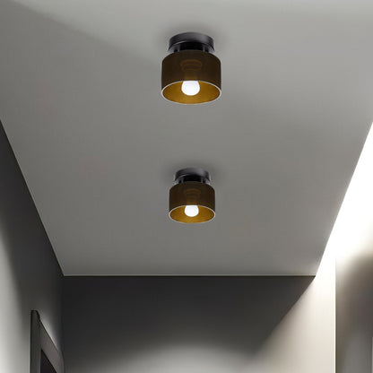 Flush Mount Glass Dome Ceiling Light E26 Socket Amber Globe for Kitchen Entryway Bedroom Low Profile Vintage Style Home Lighting Fixture