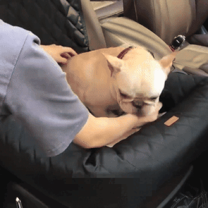 Comfort Pet | Dog Car Bed with Secure Design & Plush Padding | Travel Safety for Dogs