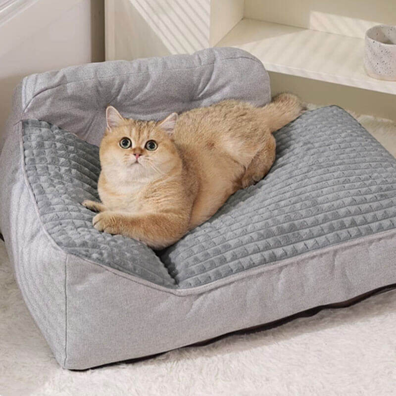 Orthopedic Pet Bed with Bolster Pillow for Dogs & Cats – Washable, Non-Slip Base, Year-Round Comfort