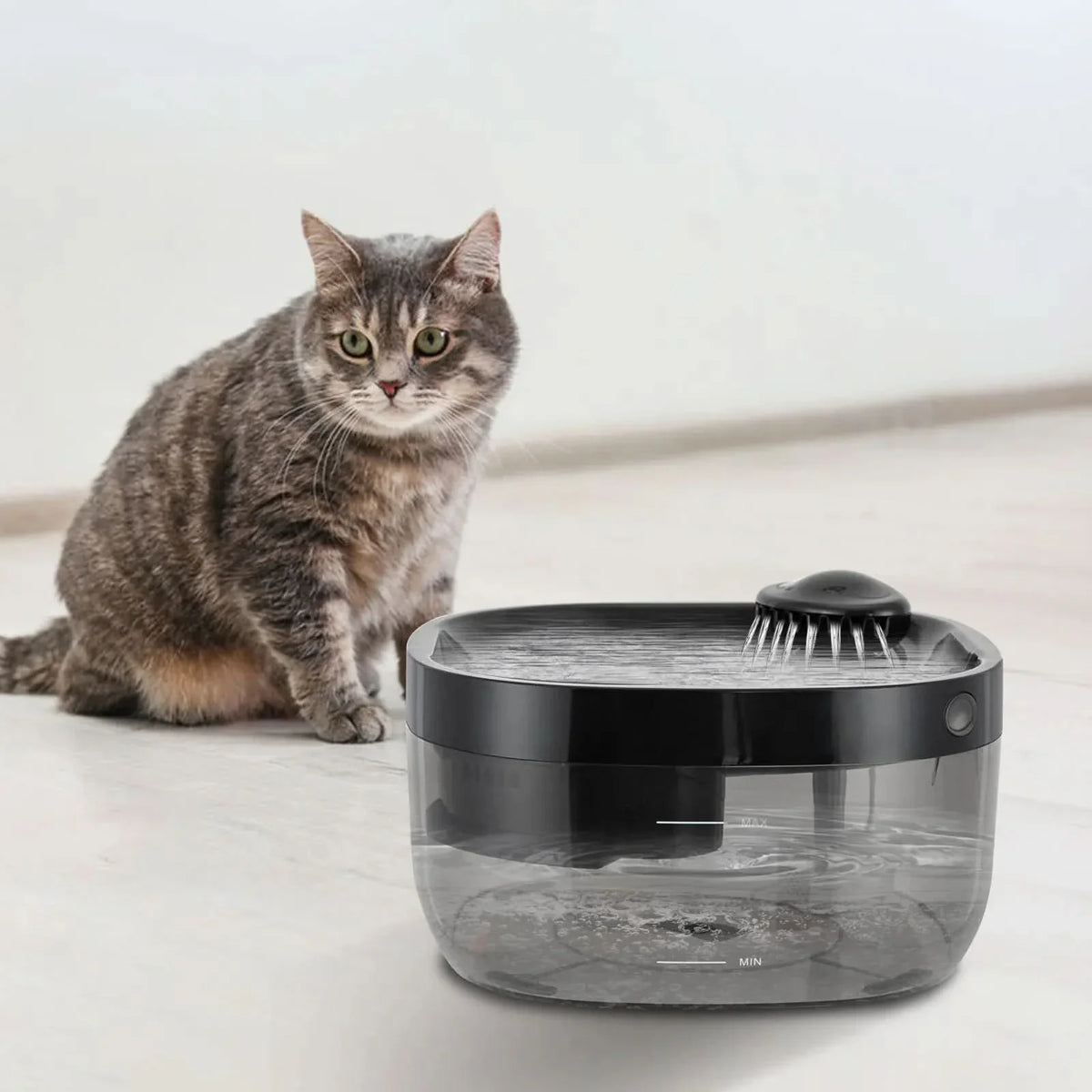 PETFLOW – Wireless Pet Water Fountain for Cats & Dogs