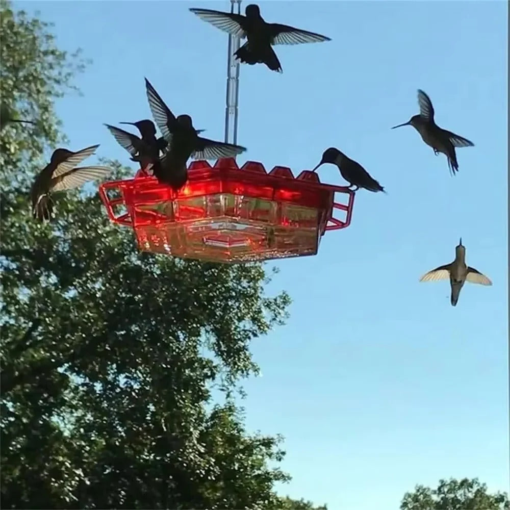 Avent Hummingbird Feeder - UV-Resistant, Ant-Proof Design