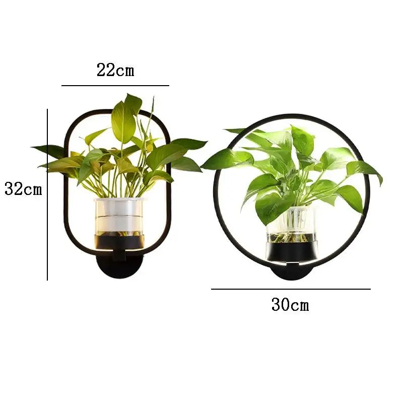 Indoor Wall Sconce with Live Plant Holder – Iron & Glass Botanical Light Fixture for Living Room, Bedroom, Hallway, Office – Modern