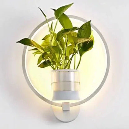 Indoor Wall Sconce with Live Plant Holder – Iron & Glass Botanical Light Fixture for Living Room, Bedroom, Hallway, Office – Modern