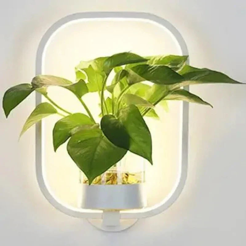 Indoor Wall Sconce with Live Plant Holder – Iron & Glass Botanical Light Fixture for Living Room, Bedroom, Hallway, Office – Modern