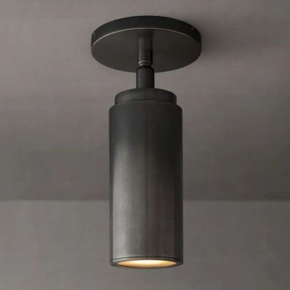 Adjustable Ceiling Spotlight Bronze Finish Directional Accent Light Fixture for Living Room Bedroom Hallway Entry