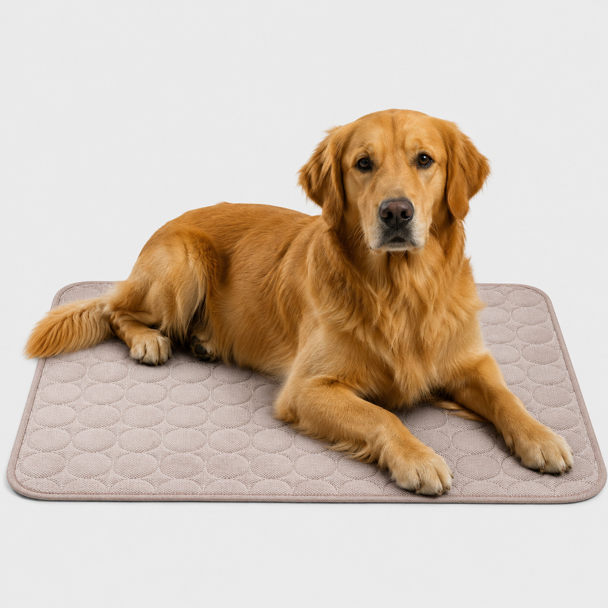 Machine-Washable Cool-Touch Pet Bed Pad for Dogs & Cats – Travel-Ready Foldable Chill Blanket for Summer Heat Relief, 6 Size Options for
