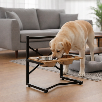 PAWDINER – Ergonomic Feeding Station with Stainless Steel Bowls