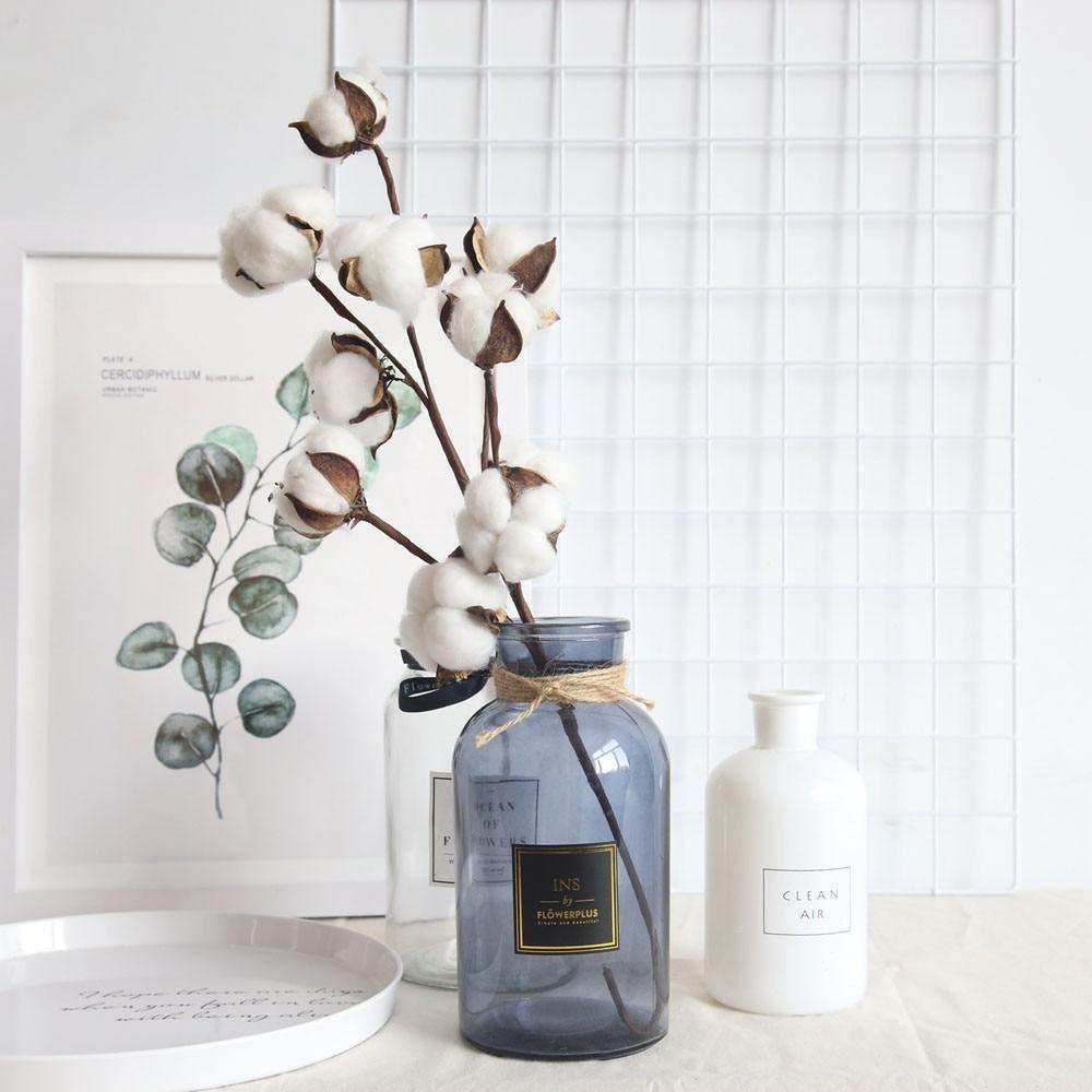 Cotton Branches