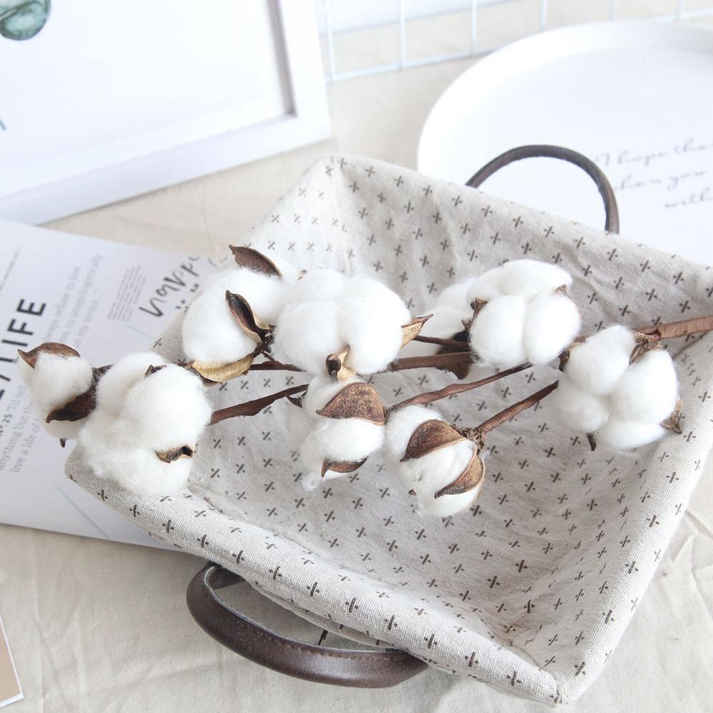 Cotton Branches