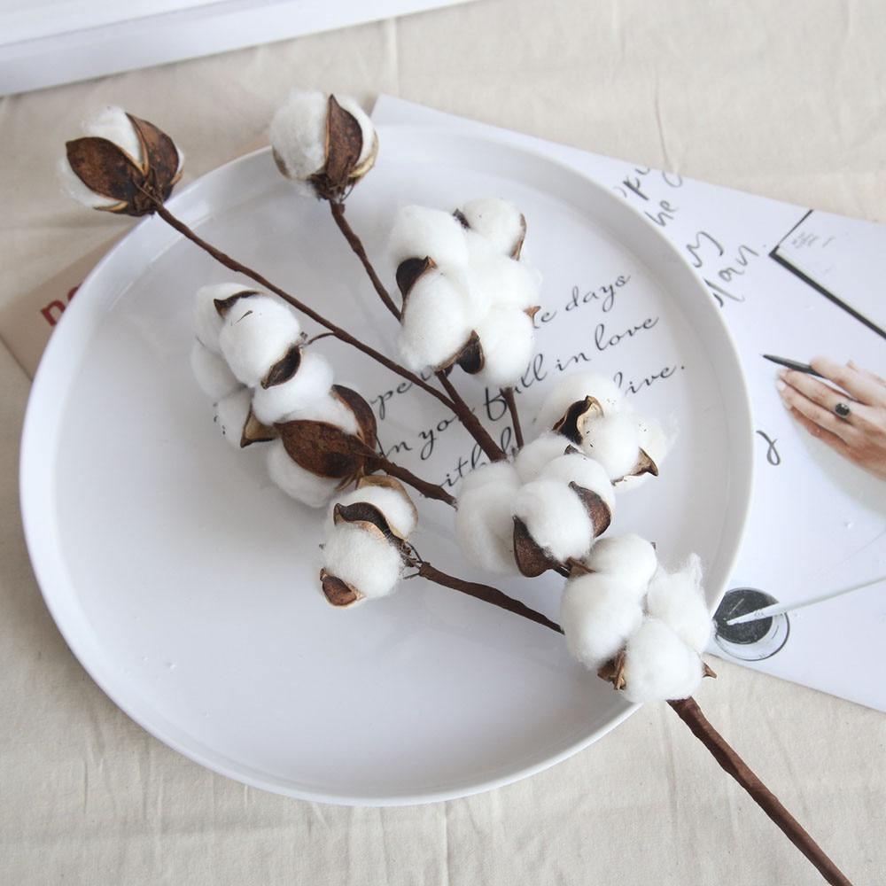 Cotton Branches