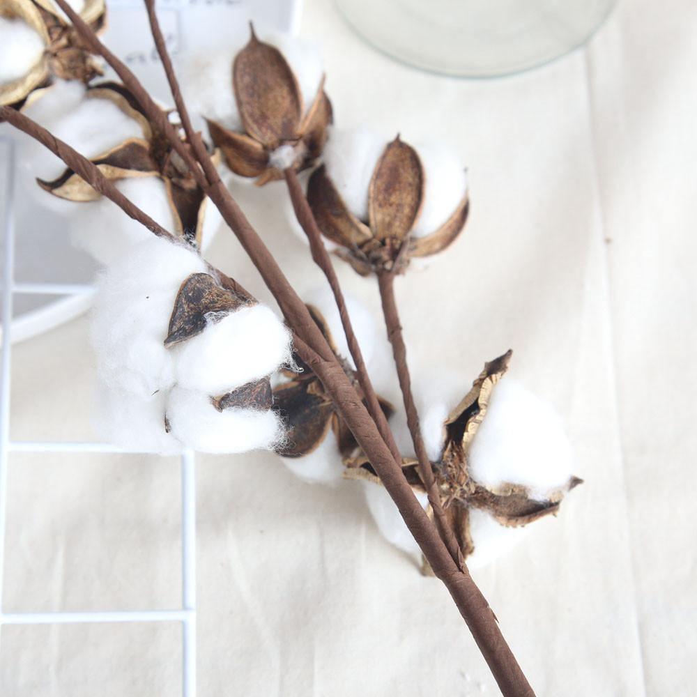Cotton Branches
