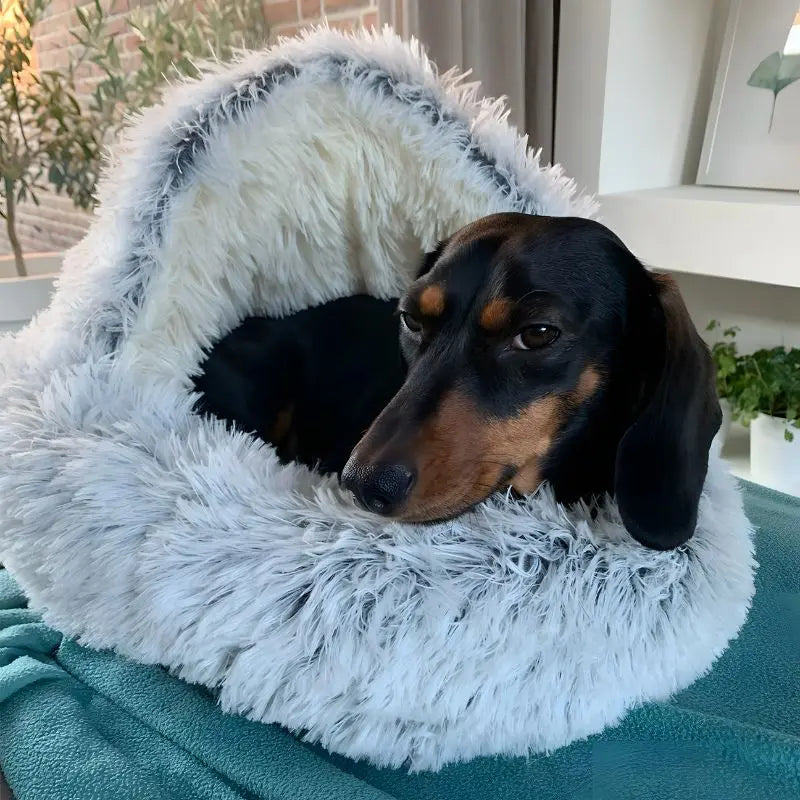 Hooded Cave-Style Pet Bed for Small Dogs & Cats – Plush Hideaway Nest with Non-Slip Base, Moisture-Resistant Shelter for Indoor Relaxation