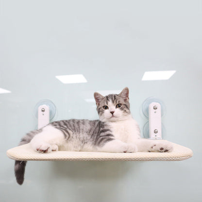 Cozy Cat Hammock for Window, Foldable Cat Window Perch with Strong Suction Cups, Space Saving Cat Bed for Indoor Cats