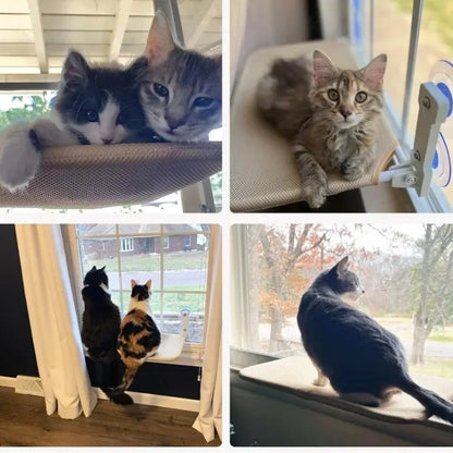 Cozy Cat Hammock for Window, Foldable Cat Window Perch with Strong Suction Cups, Space Saving Cat Bed for Indoor Cats