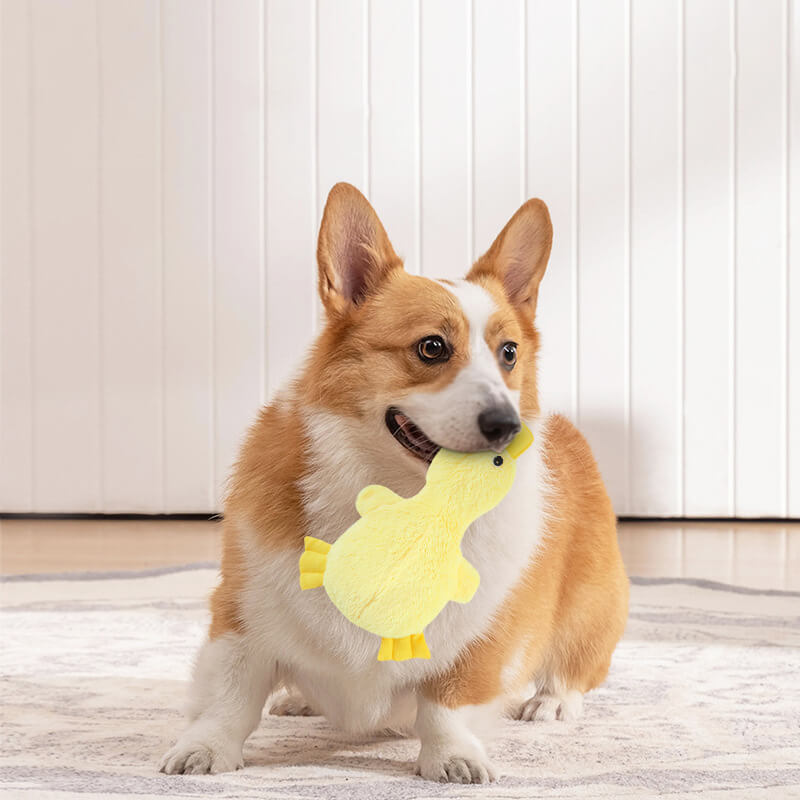 Squeaky Plush Duck Dog Toy – Soft Chew Toy for Small & Large Dogs, Interactive Pet Plaything with Sound for Puppies & Adult Canines