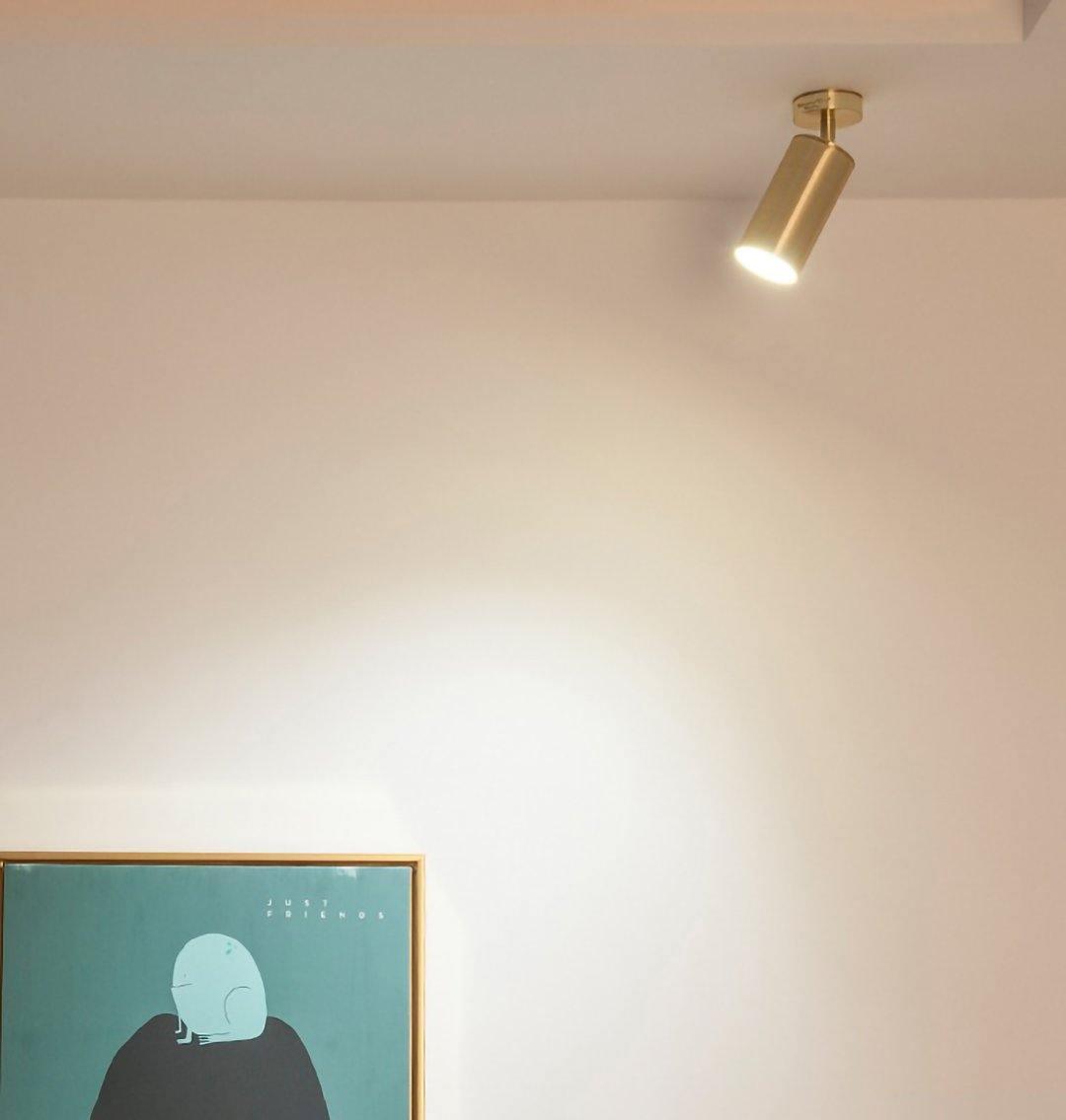 Pivoting Metal Track Spotlight Fixture 350° Swivel Wall & Ceiling Mount LED Accent Light for Living Room Bedroom Kitchen Gallery Art Display