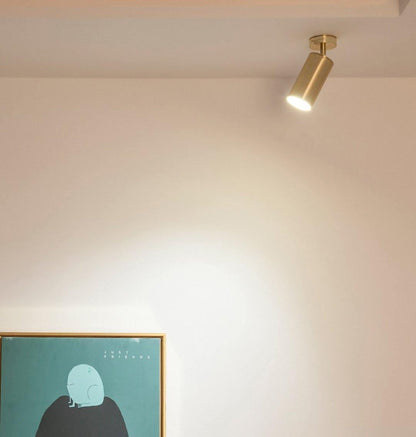 Pivoting Metal Track Spotlight Fixture 350° Swivel Wall & Ceiling Mount LED Accent Light for Living Room Bedroom Kitchen Gallery Art Display