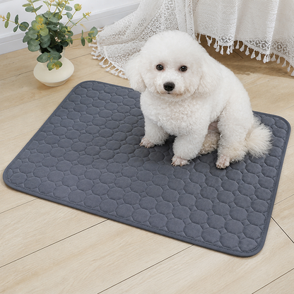 Ortekor 4-Layer Ultra Absorbent Waterproof Non-Slip Pet Mat