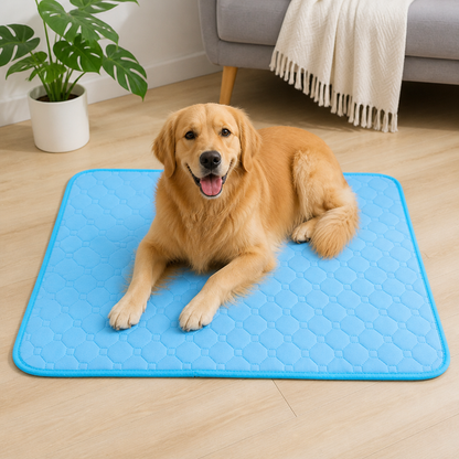 Ortekor 4-Layer Ultra Absorbent Waterproof Non-Slip Pet Mat