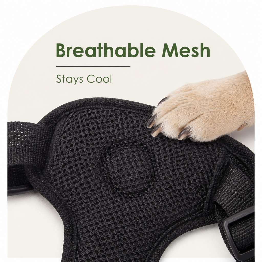 Ortekor Adjustable Breathable Mesh Dog Car Safety Harness