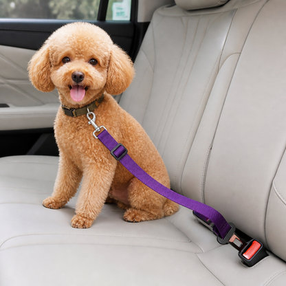 Ortekor Adjustable Nylon & Zinc Alloy Car Seat Belt