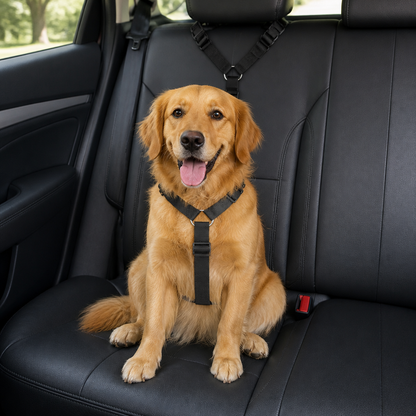 Ortekor Adjustable Stretch Nylon Car Seat Belt
