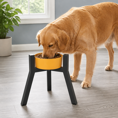 Ortekor Adjustable Width & Foldable Elevated Dog Bowl Stand