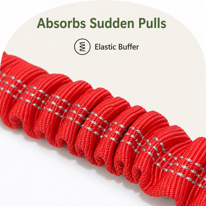Ortekor Bungee Shock-Absorbing & Reflective Car Seat Leash (For Small-Medium Dogs)