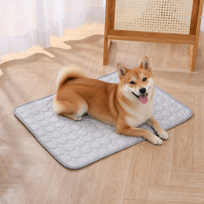 Ortekor Dual-Sided Ice Silk Cooling Pet Mat (Machine Washable)