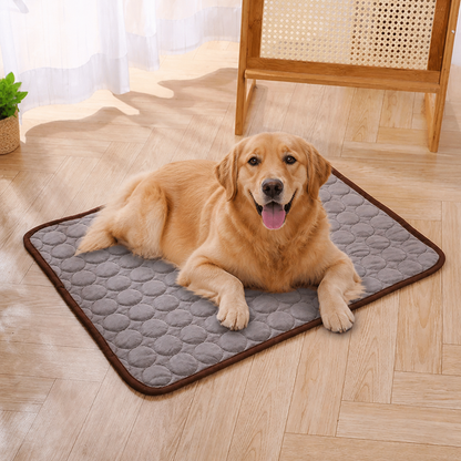 Ortekor Dual-Sided Ice Silk Cooling Pet Mat (Machine Washable)